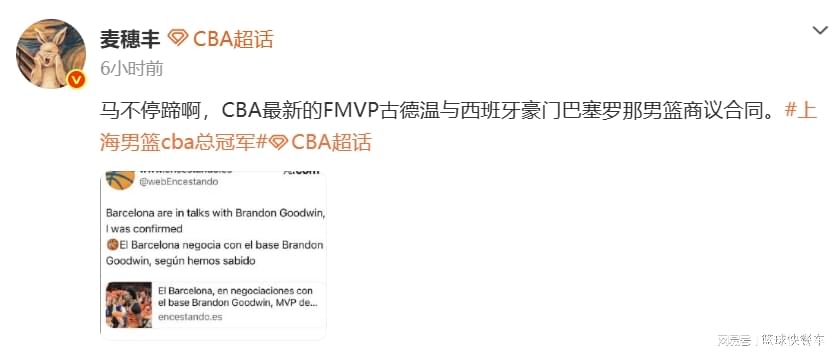 苏群复盘戳穿马刺失败原因：球员背锅，教练记错规则送掉胜利