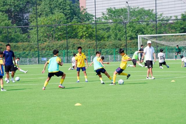 伊朗vs新西兰：塔雷米、克里斯